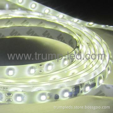3528 36V cheap waterproof led strip light